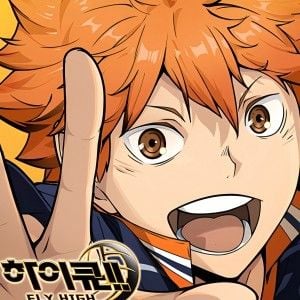 HAIKYU!! FLY HIGH